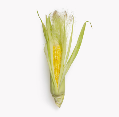 corn